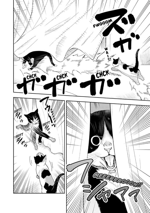 CAT + GAMER VOLUME 6 - NADATANI. WATARU